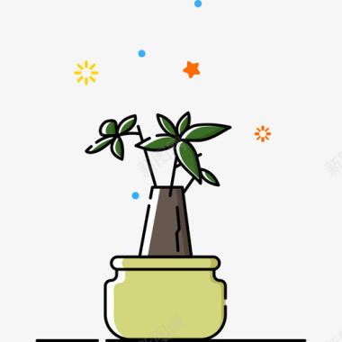 发财植物icon发财树图标