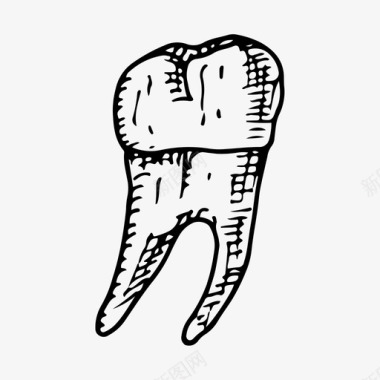 人类骨骼牙齿人类医学图标