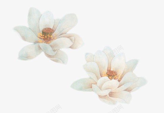 古风素锦植物花瓣花朵50P二其他图片十里桃花封面P图标