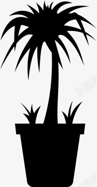 棕榈树植物绿化棕榈树图标