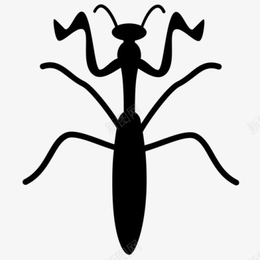 保护色螳螂螳螂动物昆虫图标