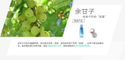 科技成分品牌故事科技成分自然堂CHANDO官网插画高清图片