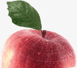 2015苹果新品首发尚天猫就购了水果蔬菜肉美食创意素材