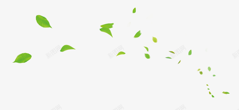 绿色茶叶树叶漂浮素材png免抠素材_88icon https://88icon.com 绿色漂浮茶叶 绿叶漂浮 绿色树叶 叶子 树叶 茶叶