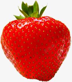 草莓水果红色甜孤立剪出食品森林花园养料美味A蔬菜水素材