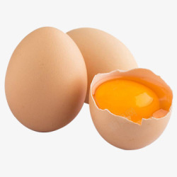 晨诚新鲜农家生态散养农家土鸡蛋草鸡蛋笨鸡蛋15枚包素材