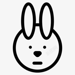 藤壶兔子动物小白兔高清图片