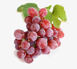 紫葡萄绿葡萄酒水果灬小狮子灬果蔬苹果水果透明梨葡萄素材