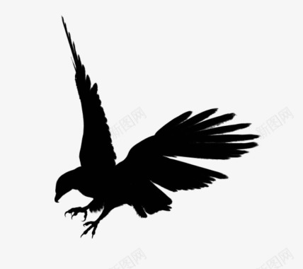 鹰黑siluet图像免费下载鸟图标