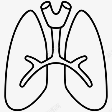 气管肺呼吸气管图标