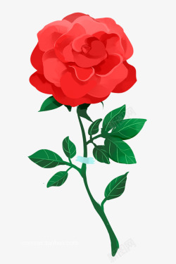 手绘玫瑰花月季花藤涂设计素材