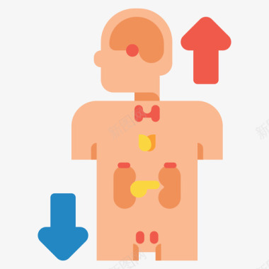 解剖学激素失衡解剖学13扁平图标