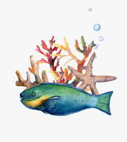 水彩油画海底动物植物鱼水母剪贴画免扣图案手账设计P素材