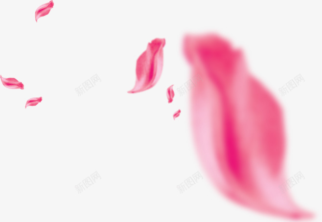 漂浮粉色玫瑰花瓣png免抠素材_88icon https://88icon.com 化妆品元素 漂浮花瓣 玫瑰花瓣 装饰元素 粉色