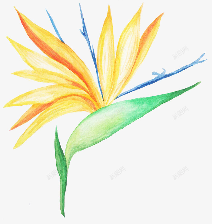 免扣花透明小花草植物免扣花瓣树叶植物花png免抠素材_88icon https://88icon.com 免扣 小艺 树叶 植物 花瓣 花草 透明