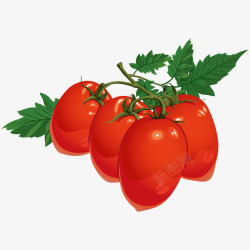 圣女果番茄西红柿蔬菜水果食物素材