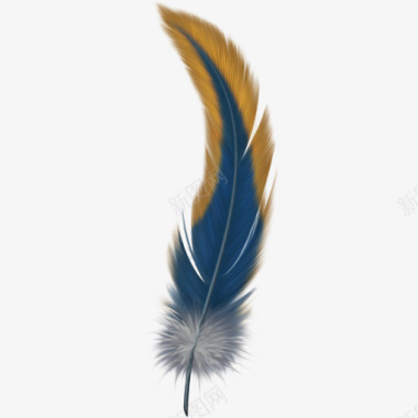 9个漂亮的羽毛图标羽毛翅膀图标