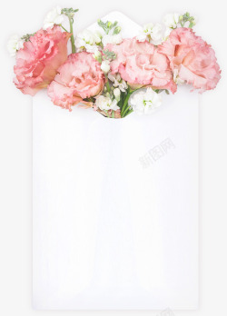 母亲节三八妇女节女王节花朵康乃馨信封透明免扣悬浮小素材