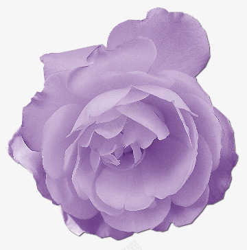 作图专用四紫色童话漂亮佳人有约飞飞网易博客教程代码png免抠素材_88icon https://88icon.com 作图 专用 紫色 童话 漂亮 佳人 有约 飞飞 网易 博客 教程