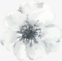 彩黑白波西米亚牡丹花卉剪贴画婚礼请柬设计PS4彩黑素材