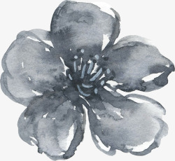 彩黑白波西米亚牡丹花卉剪贴画婚礼请柬设计PS7彩黑素材