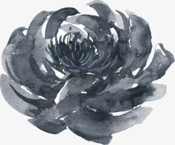 彩黑白波西米亚牡丹花卉剪贴画婚礼请柬设计PS9彩黑素材