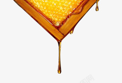 蜂蜜精油类黄色液体集中营素材