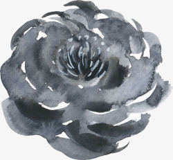 彩黑白波西米亚牡丹花卉剪贴画婚礼请柬设计PS8彩黑素材