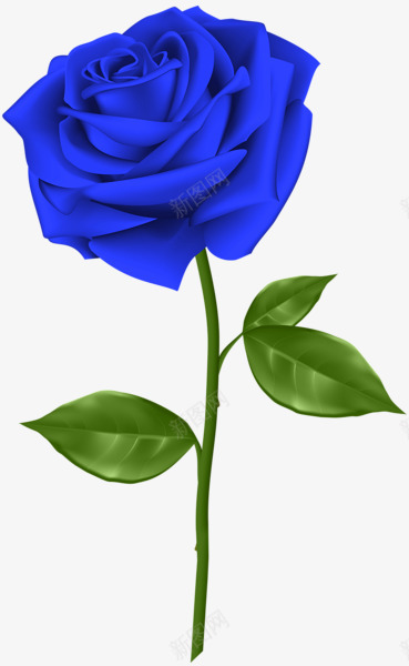 rose66753369600手绘卡通鲜花植物类Tpng免抠素材_88icon https://88icon.com rose66753369600 手绘 卡通 鲜花 植物类