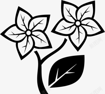 迷人芬芳花美丽芬芳图标