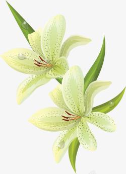 lilium2043336006手绘卡通鲜花植物类素材