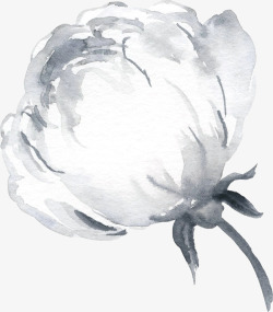 彩黑白波西米亚牡丹花卉剪贴画婚礼请柬设计PS6彩黑素材