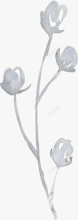 彩黑白波西米亚牡丹花卉剪贴画婚礼请柬设计PS25彩素材