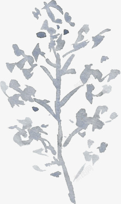 彩黑白波西米亚牡丹花卉剪贴画婚礼请柬设计PS19彩素材