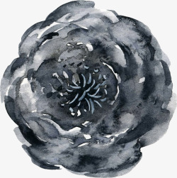 彩黑白波西米亚牡丹花卉剪贴画婚礼请柬设计PS2彩黑素材