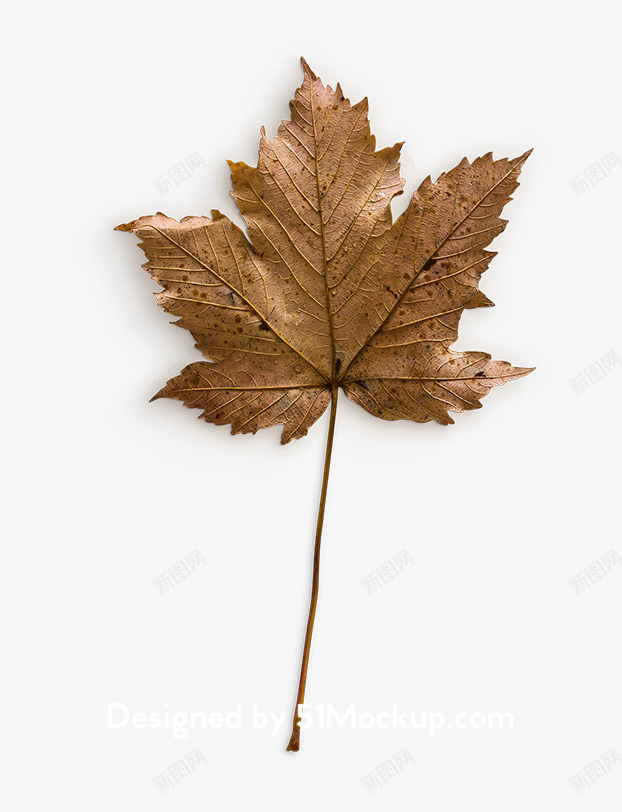 叶子黄秋天底纹主题文字格式大图活动主题png免抠素材_88icon https://88icon.com 主题 叶子 黄秋天 秋天 底纹 文字 格式 大图 活动