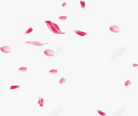 粉红色花瓣飘落花瓣玫瑰花瓣樱花桃花飘落飘洒散落前景花瓣点缀前景点图标