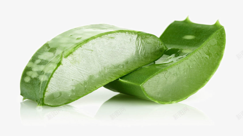 佑佑佑小溪图绿色植物化妆品食品芦荟芦荟胶绿色植物叶png免抠素材_88icon https://88icon.com 绿色植物 芦荟 佑佑 小溪 化妆品 食品