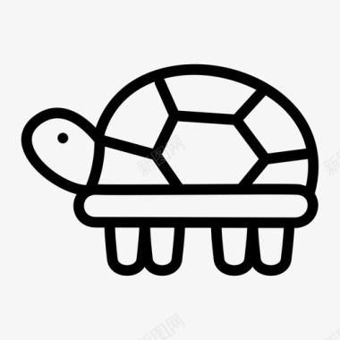 乌龟生日卡乌龟可爱有壳图标