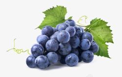 紫葡萄绿葡萄酒水果658415系列蔬果生鲜素材
