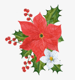 手绘花卉红色浆果圣诞装饰花朵装饰壁纸装饰壁纸素材