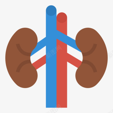扁平风科技肾脏医用304扁平图标