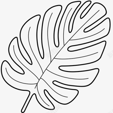 热带棕榈叶装饰性乔木图标