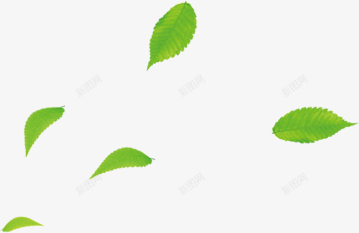 绿色叶子漂浮装饰壁纸装饰壁纸png免抠素材_88icon https://88icon.com 装饰 壁纸 绿色 叶子 漂浮