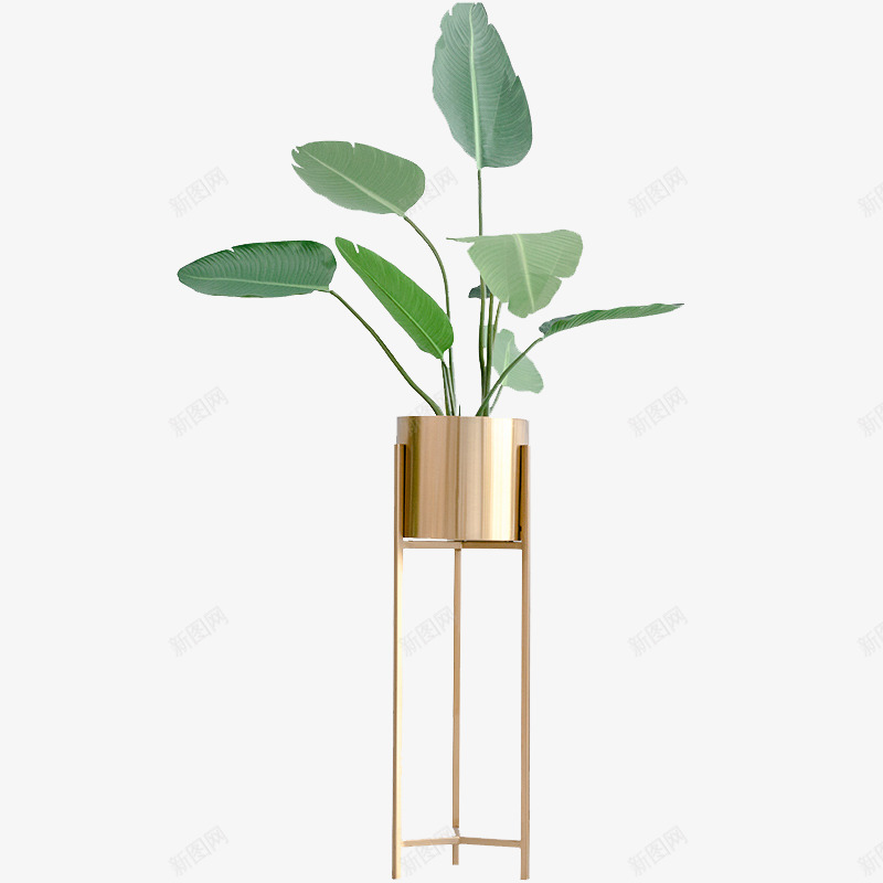 盆栽植物绿色叶子透明免扣北欧植物抠图盆栽植物png免抠素材_88icon https://88icon.com 植物 盆栽 绿色 叶子 透明 免扣 北欧 抠图
