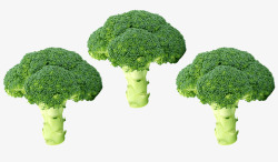 西兰花蔬菜绿色有机沙拉食品厨师成份花椰菜素食主义者素材