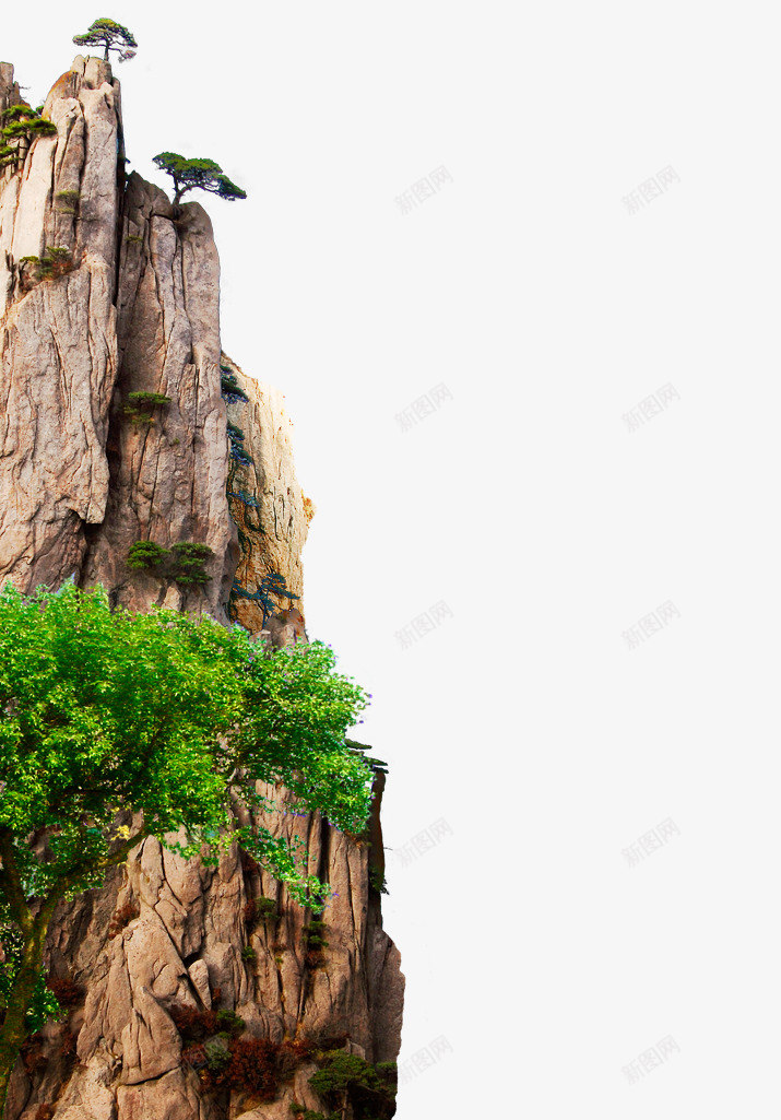 绿色海报合成植物灬小狮子灬3植物鲜花透明图案鲜花植png免抠素材_88icon https://88icon.com 植物 鲜花 绿色 海报 合成 小狮子 透明 透明图 图案