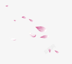 粉色花瓣雨装饰壁纸装饰壁纸素材