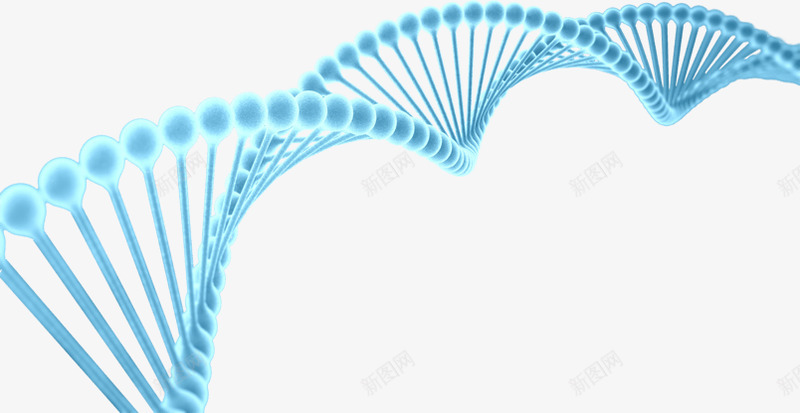 基因百度搜索png免抠素材_88icon https://88icon.com 基因 百度 搜索