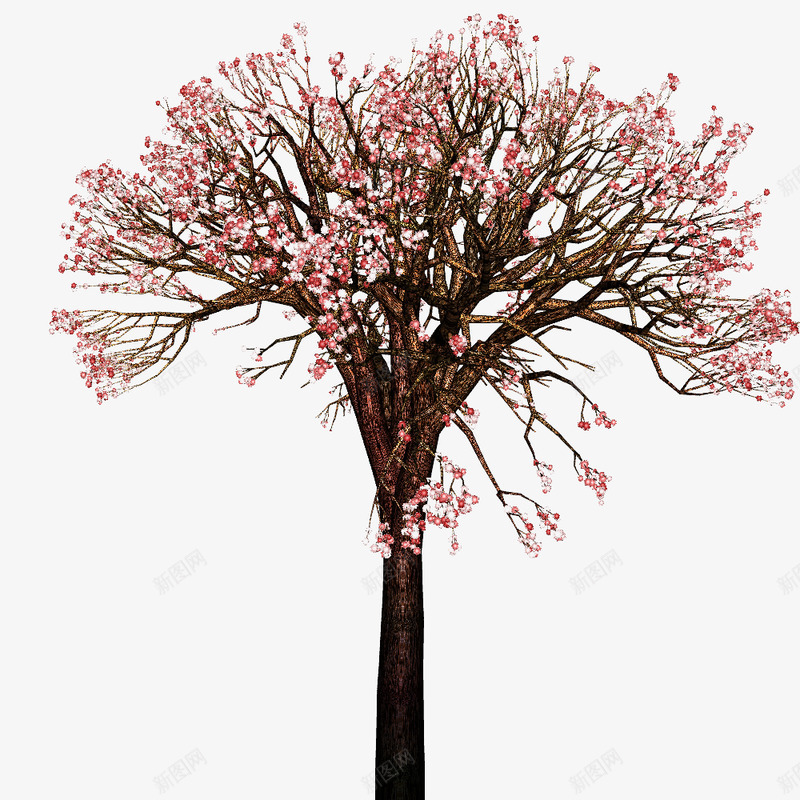 浪漫桃花丰茂桃树动植物壁纸动植物壁纸png免抠素材_88icon https://88icon.com 动植物 壁纸 浪漫 桃花 丰茂 桃树